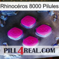 Rhinocéros 8000 Pilules 02